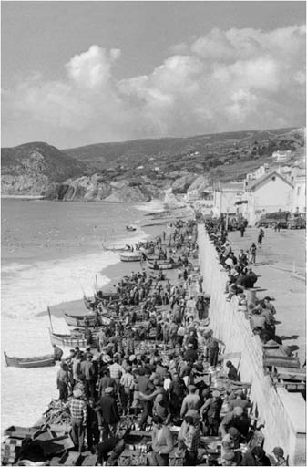 Rearrangement of the Marginal in Sesimbra - Antonio Barreiros Ferreira | Tetractys Arquitectos - Designs | Culture and Recreation